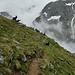 Bergziegen sind meine einzigen Freunde in diesem Wetter