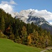tolle Herbstfarben und der Blick zum Kaisergebirge