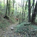 Il sentiero n° 5 prosegue con pendenza sostenuta (soprattutto alla fine) nel bosco, fino ad incrociare il sentiero n° 12.