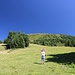über Wiesen hinab zur Patscher Alm