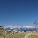 auf dem Patscherkofel
