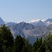 Pferscher Tribulaun, davor die Peilspitze