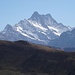 Schreckhorn
