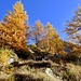 HerbstlichesAmbiente auf der Alp Cròsa.