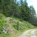 Hier verlässt man den Fahrweg wieder um nach links auf dem schmalem Pfad durch den Wald die Malga di Revo zu erreichen.