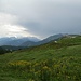 Kurz vor dem Hofmahdjoch blicke ich zurück auf die Malga di Cloz und die Gewitterwolke.