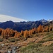 Salutiamo i larici dorati ed usciamo dal bosco