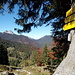 Blick vom Graseck Richtung Roß- und Buchstein