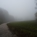 Seltsam im Nebel zu wandern...