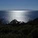 Punta della Zanca con vista alla Corsica