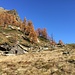 Alpe Saler, dove abbandoniamo il sentiero
