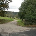 Neben dem Waldfriedhof Freiolsheim (hinter dem Zaun) führt ein alphaltierter Weg sanft abfallend hinunter nach Moosbronn.
