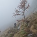 Nella nebbia...(foto di Ferruccio)