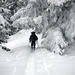 ein Wintermärchen im Aufstieg zur Sinsgäuer Schonegg