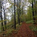 Alles der Bergkante entlang, hoch oberhalb der Gleise.