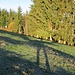 Großen Schrittes unterwegs in den ersten Sonnenstrahle auf der Lauftegg