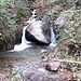 <b>Il Rio Colmegnino a Regordallo.</b>