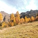 Schöne Herbstfarben