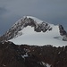 Prachtberg Weißkugel