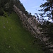 oberhalb des Felsriegels befindet sich der Durchstieg zum Pfad nach Ober Ruessi
