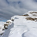 <b>Ho la fortuna di osservare la spettacolare discesa sulla neve di un camoscio verso la Val di Serdena. Affronta il versante nevoso a salti, puntando le zampe anteriori che frenano per qualche metro prima di spiccare il salto successivo.</b>