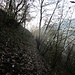 Sentiero per Trevasco