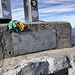 Schneeberg - Tafel am Gipfelkreuz des Klosterwappens, höchster Punkt des Schneeberges bzw. "Hochschneeberges".
