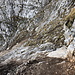 Im Abstieg vom Schneeberg via Fadensteig - Hier in einem "unangenehmen" Abschnitt. Im abschüssigen Fels sind bei genauem Hinsehen auch einige Stahlstifte zu erahnen.