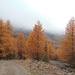 Herrliche Herbstfarben
