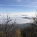 Milešovka - Ausblick aus dem Gipfelbereich, wo einige Hügel aus dem welligen Nebelmeer herausragen. Foto vom 26.10.2019.