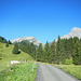 Mit dem Wanderbus bequem ins Rellstal, geht's zu Beginn über den Weiderücken hoch zur Alpe Lün.