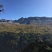 La distesa di larici che circonda l'Alpe Lareccio