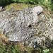 La pietra con le iniziali dei morti sepolti nel cimitero coperto dalla frana del 1642
