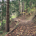 Luxusausbau vom Wanderweg nach Schönau