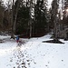 So langsam nimmt der Schnee ein wenig zu.