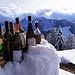 Per conoscere l’annata e la qualità di un vino
non è necessario berne l’intero barilotto.

Oscar Wilde