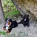 Wayonna & Artus