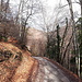 <b>Lascio la strada asfaltata e percorro la sterrata che alla destra, in 2,4 km mi porta nel nucleo di Cragno (942 m), un paesino appartenente al Comune di Mendrisio.</b>