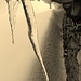 ...& ice sculpture