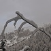 snow creations...