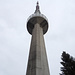 Nicht die Statue of Liberty, sondern der Swisscom-Turm auf dem Üetliberg
