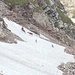 Rehe rennen vor mir über den Schnee.