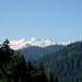 Die Berner 4000er tauchten über dem Wald auf. Ein Panorama, das uns fortan über mehrere Stunden begleitete
