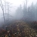 weiter gehts zur Gisliflue