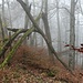 das Tor zur Hombergegg