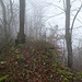 der Nebel ist unser ständiger Begleiter