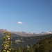Blick hinüber zu Tuxer und Zillertaler Alpen