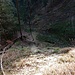 Rückblick