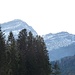 Speer