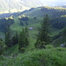 Blick hinunter zur Alp Ober Lauelen